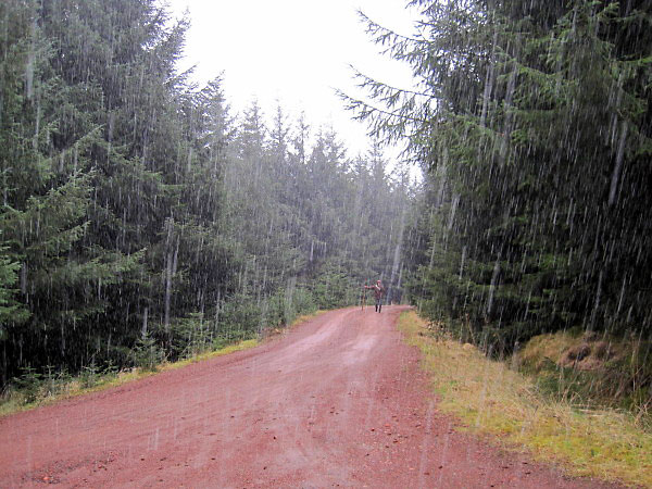 El suelo afecta al clima, principalmente a través de su contenido de humedad. “Nosotros vinculamos el agua en el suelo con la variabilidad, tanto en la precipitación como en la temperatura”, afirma Menéndez.