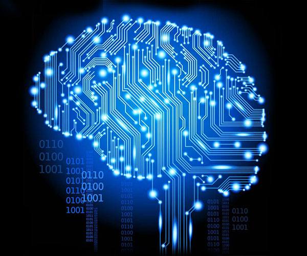 cerebroComp_N